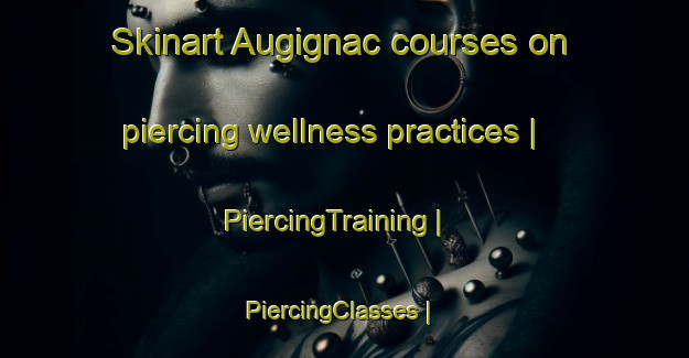 Skinart Augignac courses on piercing wellness practices | PiercingTraining | PiercingClasses | SkinartTraining-France